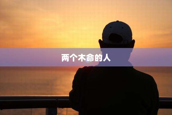 两个木命的人