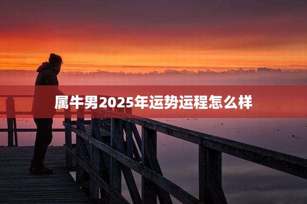 属牛男2025年运势运程怎么样