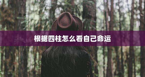 根据四柱怎么看自己命运