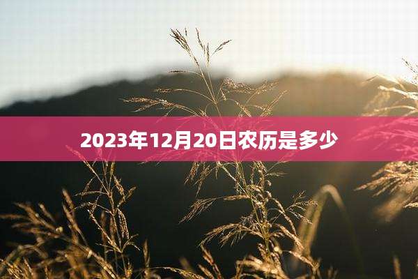 2023年12月20日农历是多少