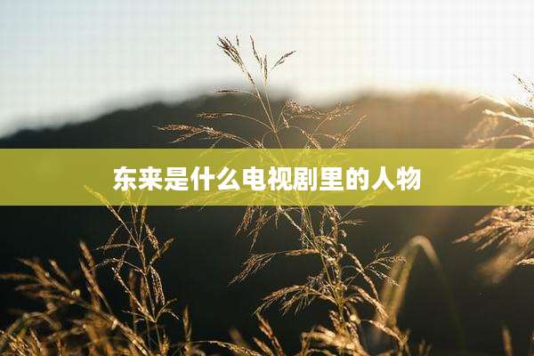 东来是什么电视剧里的人物