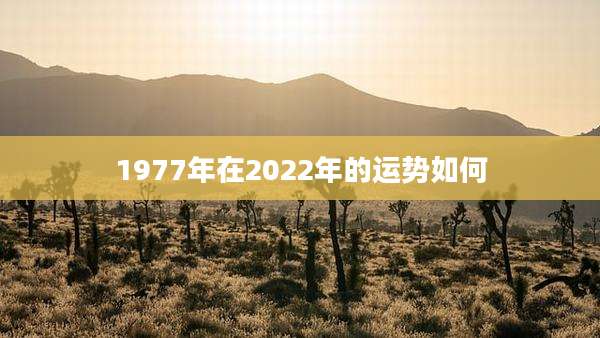 1977年在2022年的运势如何