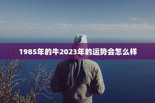 1985年的牛2023年的运势会怎么样