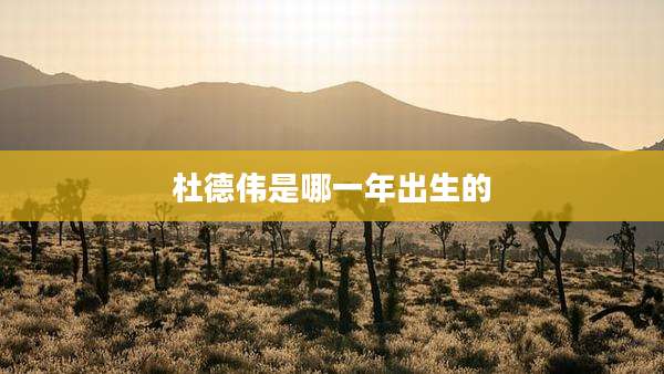 杜德伟是哪一年出生的