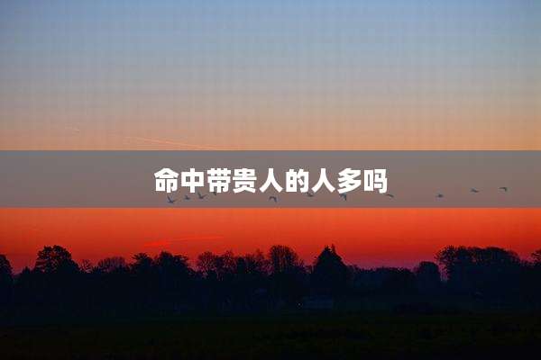 命中带贵人的人多吗