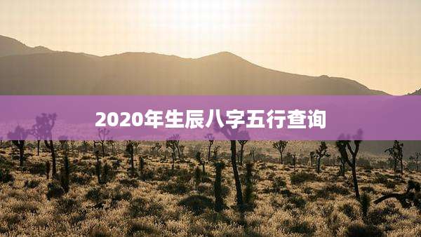 2020年生辰八字五行查询
