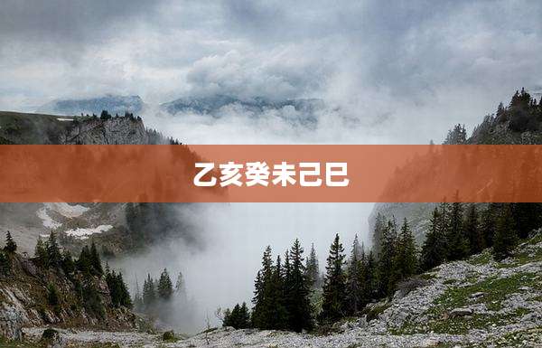 乙亥癸未己巳