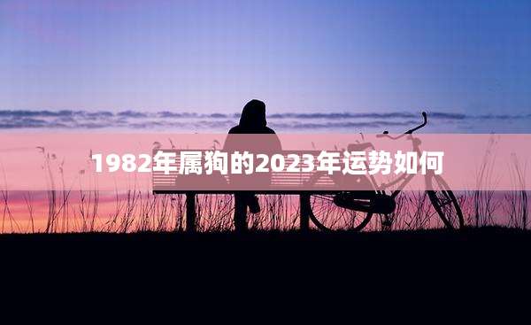 1982年属狗的2023年运势如何