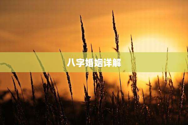 八字婚姻详解