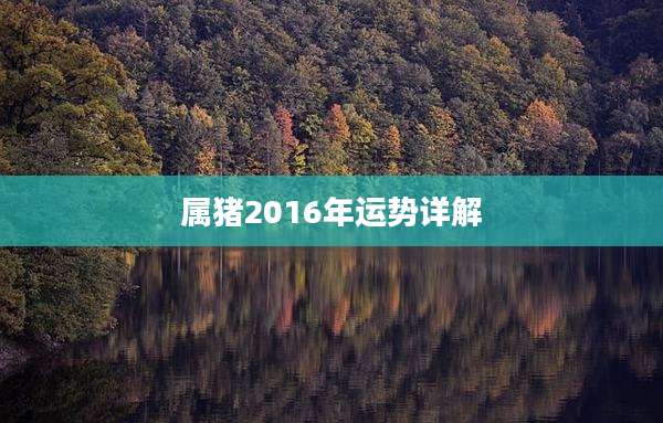 属猪2016年运势详解