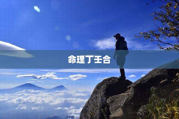 命理丁壬合