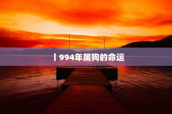 丨994年属狗的命运