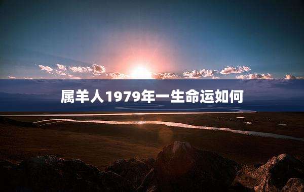 属羊人1979年一生命运如何