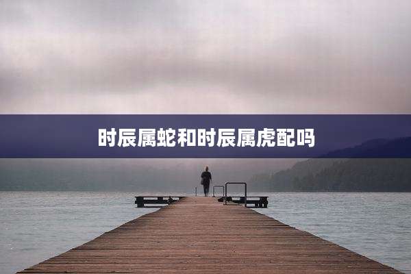 时辰属蛇和时辰属虎配吗