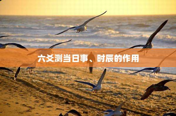 六爻测当日事、时辰的作用