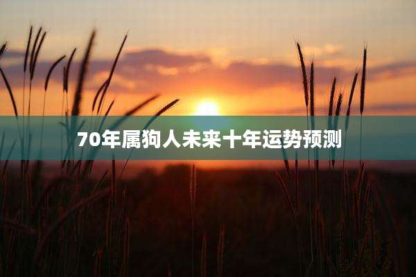70年属狗人未来十年运势预测