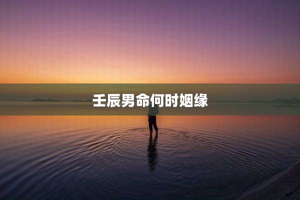 壬辰男命何时姻缘