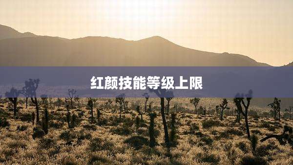 红颜技能等级上限