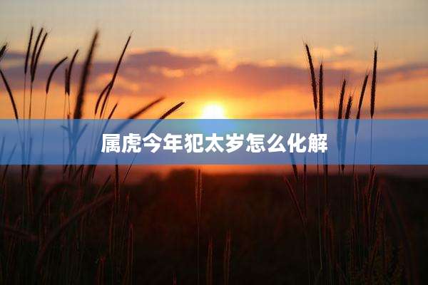 属虎今年犯太岁怎么化解
