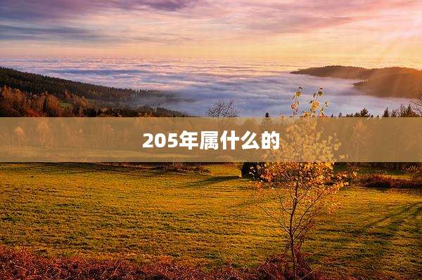 205年属什么的