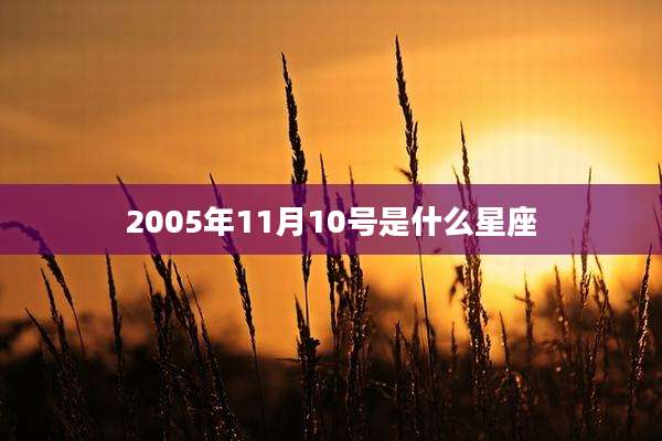 2005年11月10号是什么星座