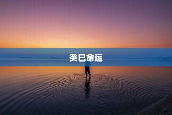 癸巳命运
