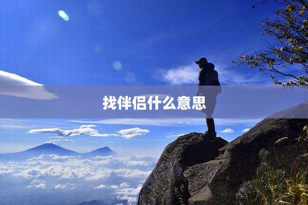 找伴侣什么意思