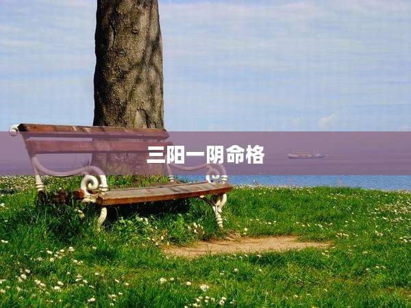 三阳一阴命格