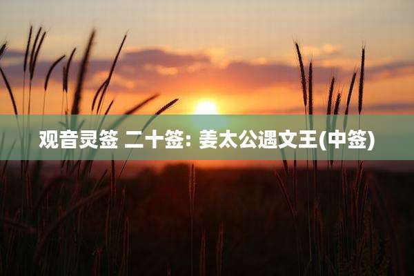 观音灵签 二十签: 姜太公遇文王(中签)