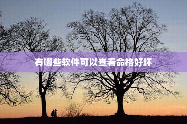 有哪些软件可以查看命格好坏