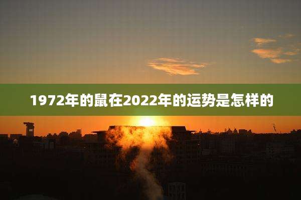 1972年的鼠在2022年的运势是怎样的