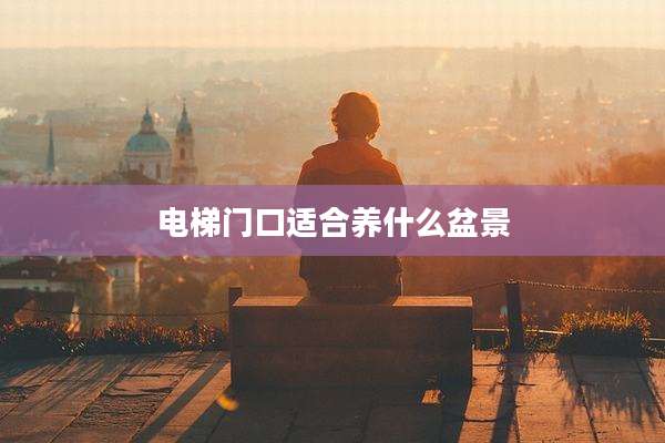 电梯门口适合养什么盆景