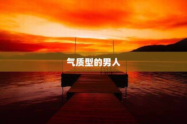 气质型的男人