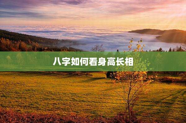 八字如何看身高长相
