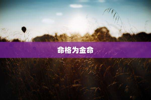 命格为金命