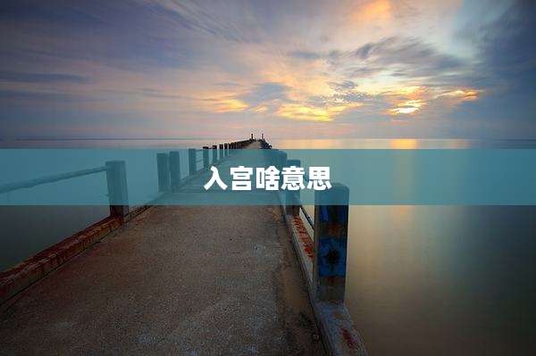 入宫啥意思