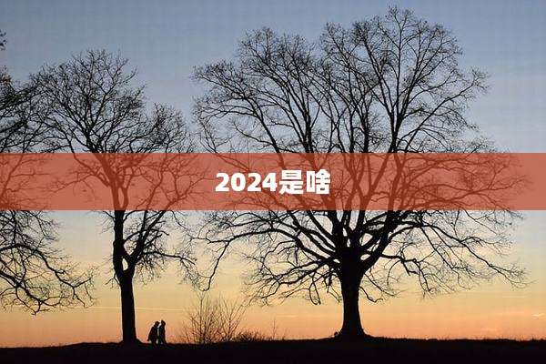 2024是啥