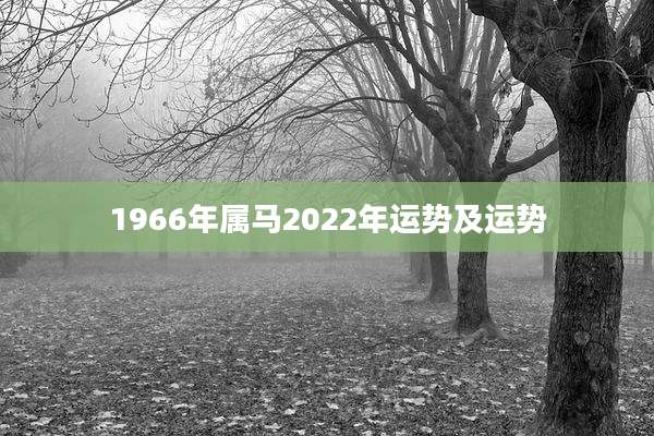1966年属马2022年运势及运势