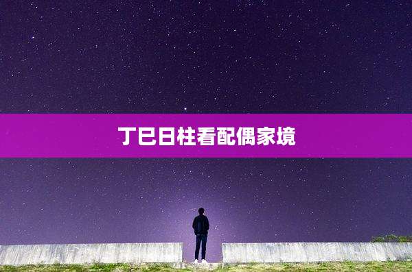 丁巳日柱看配偶家境
