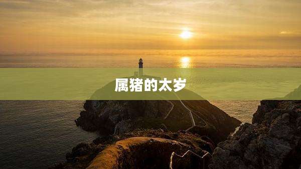 属猪的太岁
