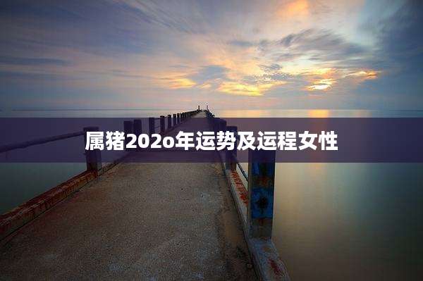 属猪202o年运势及运程女性