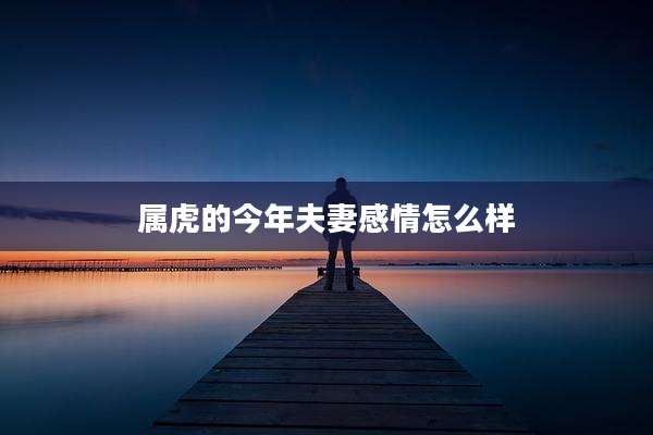 属虎的今年夫妻感情怎么样