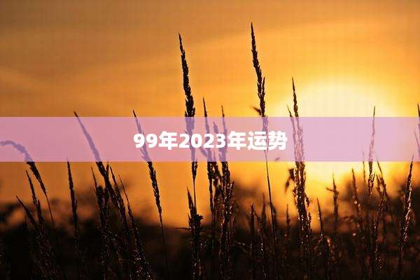 99年2023年运势