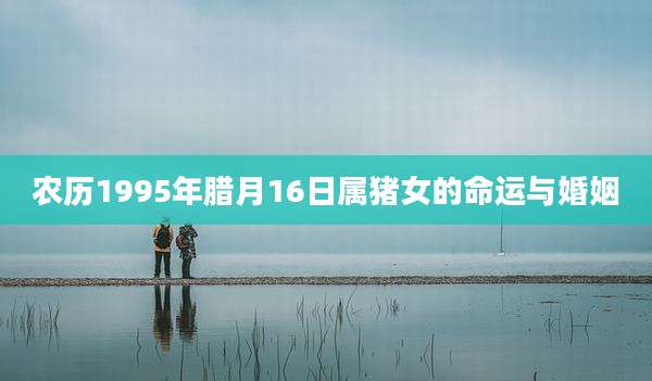 农历1995年腊月16日属猪女的命运与婚姻