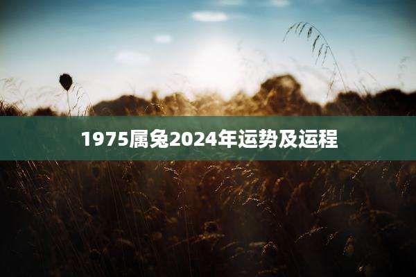 1975属兔2024年运势及运程