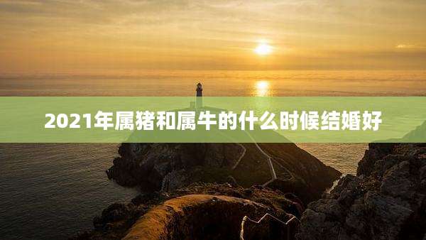 2021年属猪和属牛的什么时候结婚好