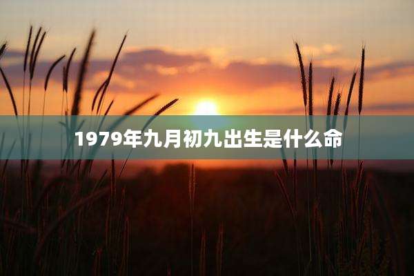 1979年九月初九出生是什么命