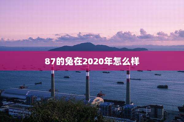 87的兔在2020年怎么样