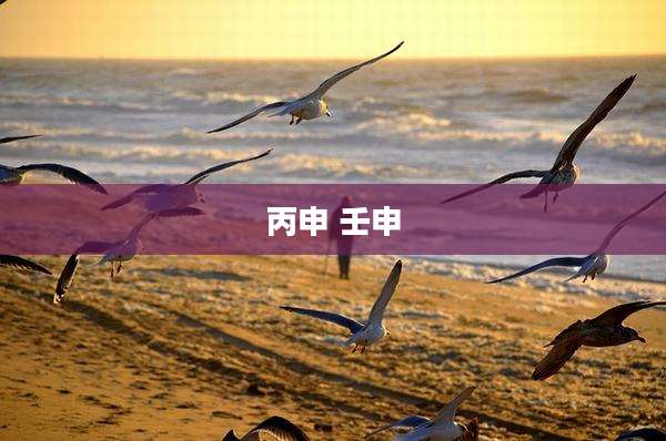 丙申 壬申