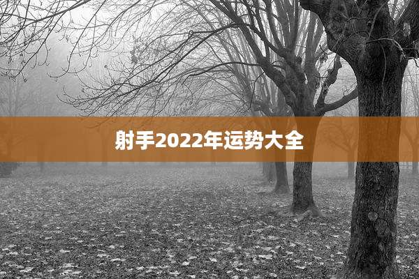 射手2022年运势大全